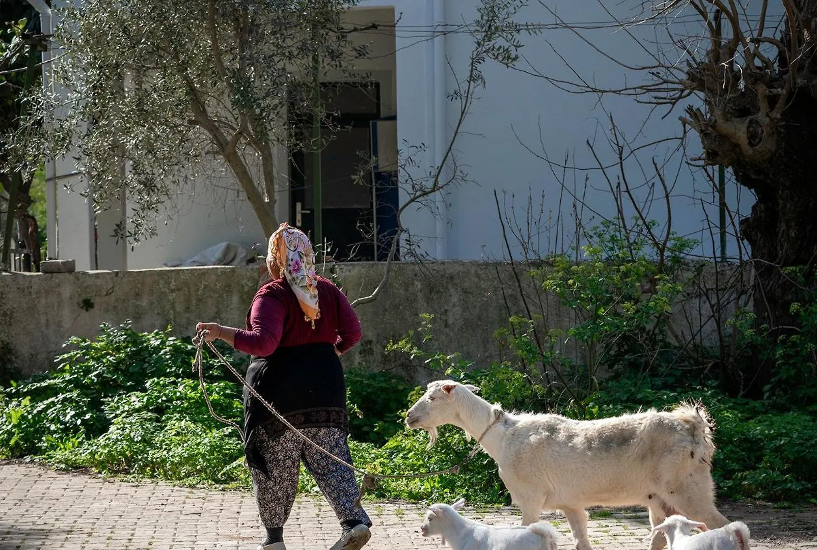 Alados Otel Turgutkoy Oda ve Kahvaltı